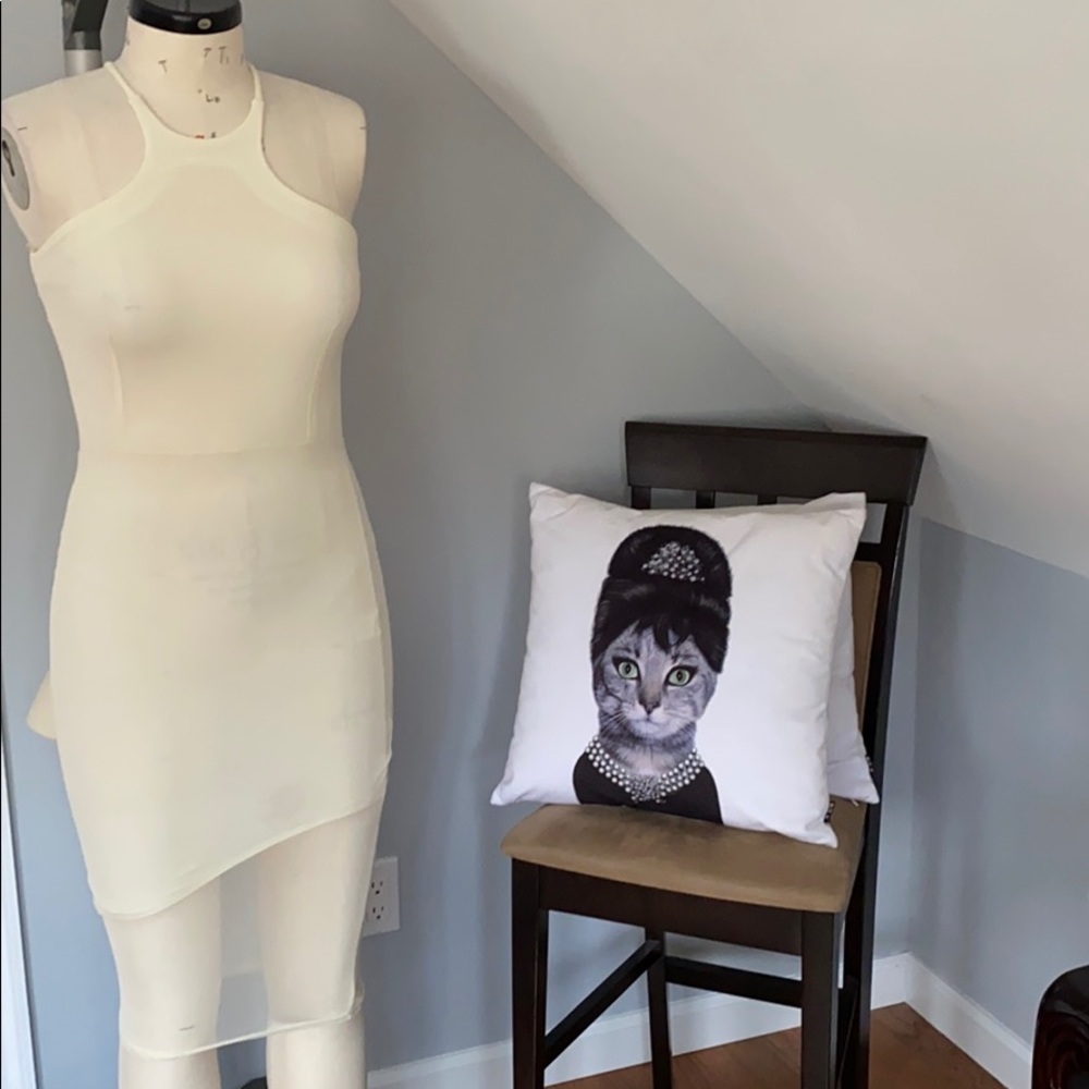 Sheer fitted sleeveless dress